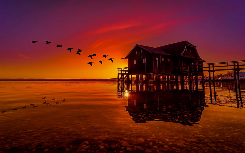 A flock of birds at sunset, sea, birds, pier, beautiful, orange, fiery, flock, summer, reflection, hut, ocean, sunset HD wallpaper