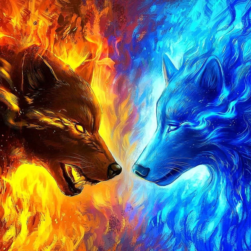 Hot Vs Cold , Hot and Cold HD wallpaper