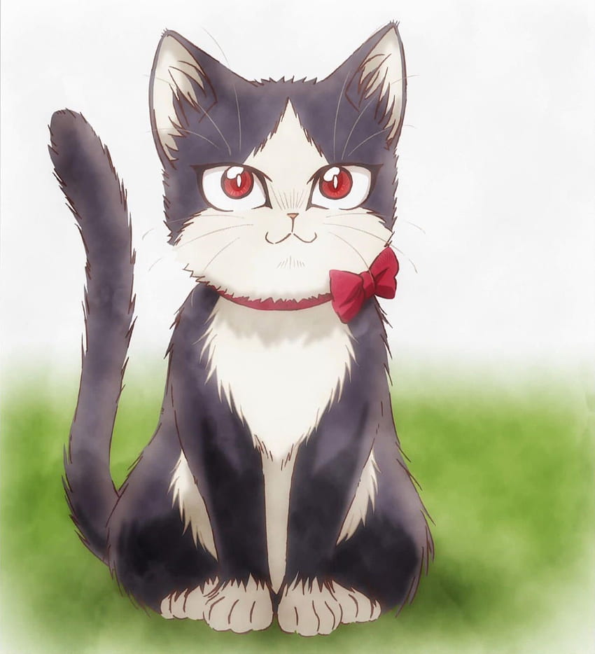 내 룸메이트는 고양이입니다, Ending in 2020. Anime cat, Cat work, Cute chibi HD 전화 배경 화면