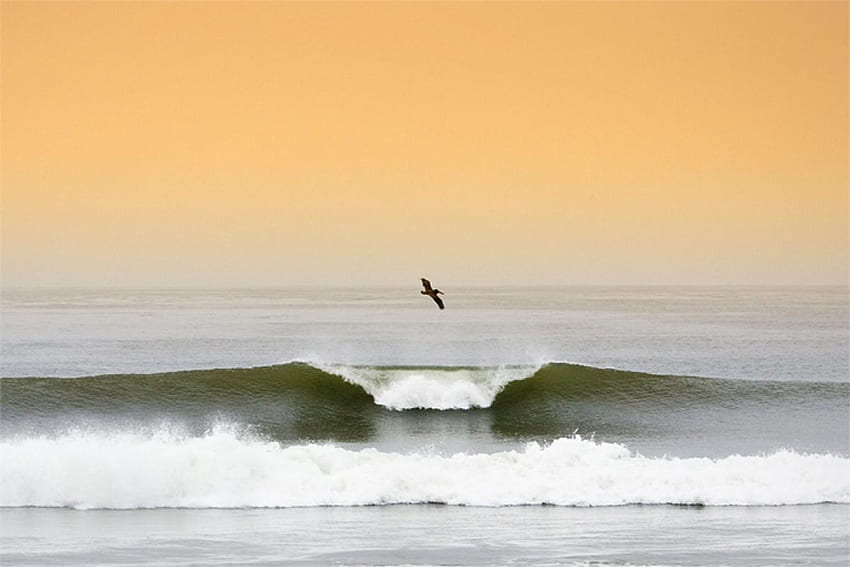 Surfing Lower Trestles: the jewel of Southern California, California Waves HD wallpaper