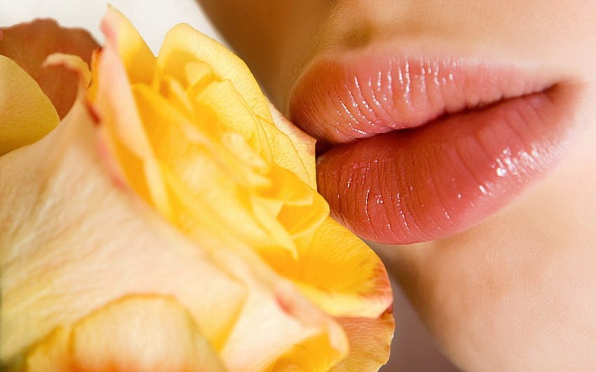 Rosa, Blume, Makro, Zärtlichkeit, Lippen HD-Hintergrundbild