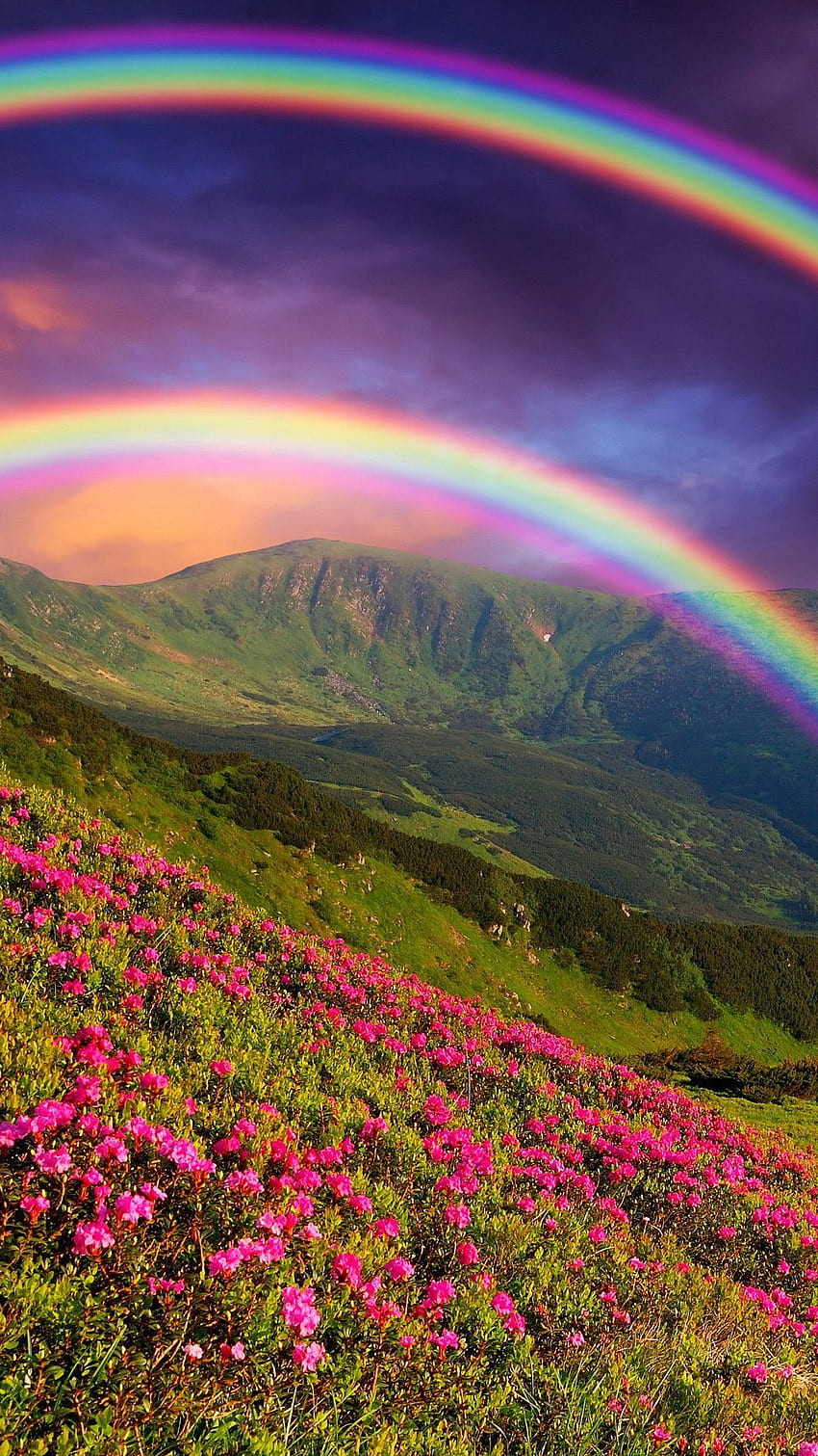 Rainbow in the Mountains Mobile :, Beautiful Rainbow HD phone ...