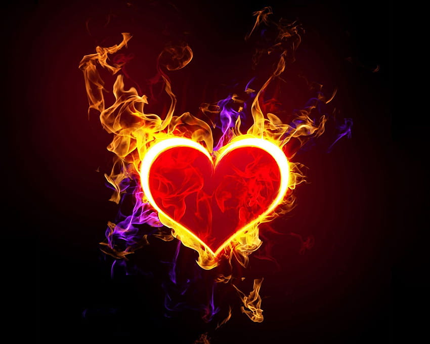 Burning Love . Love , Cute Love and Love Christmas, Ultra Love HD wallpaper