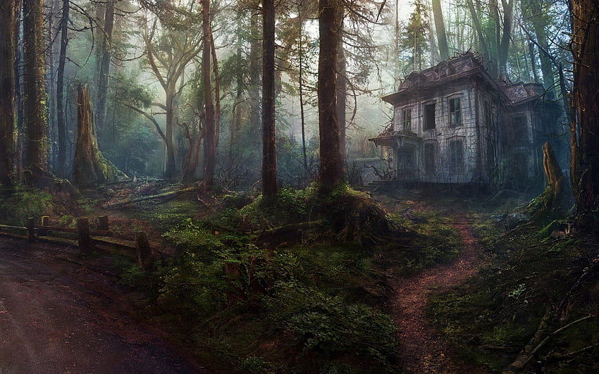 Old House in the Forest . Background ., Old Growth Forest HD wallpaper