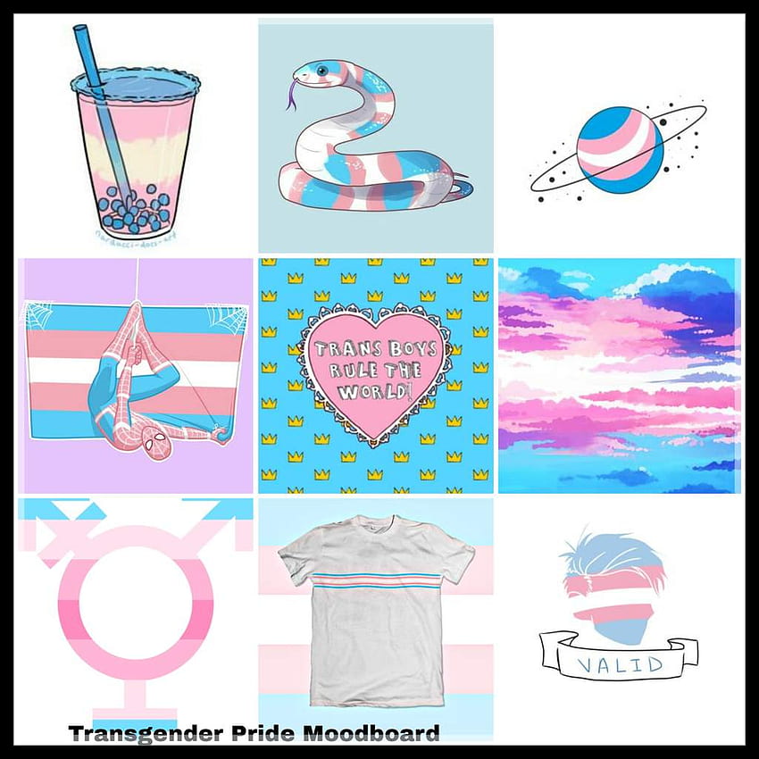Transgender Pride Moodboard. Gender Amino Amino HD phone wallpaper