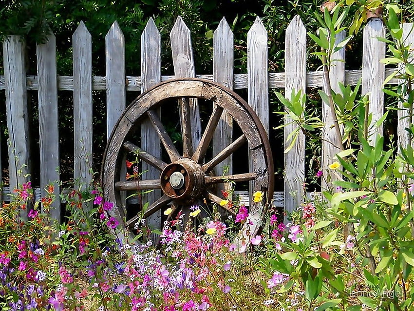 Misc: Country Garden Flowers Nature Wagon Floral Wheel Fence HD wallpaper