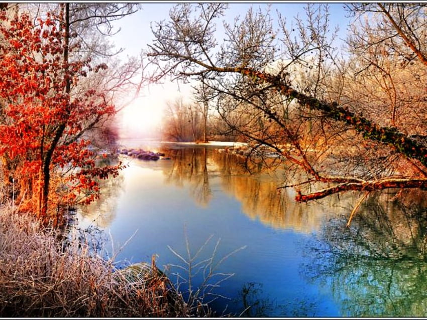 Frosty morning, river, morning, frosty, water mirror, trees, autumn, nature, sky, water HD wallpaper