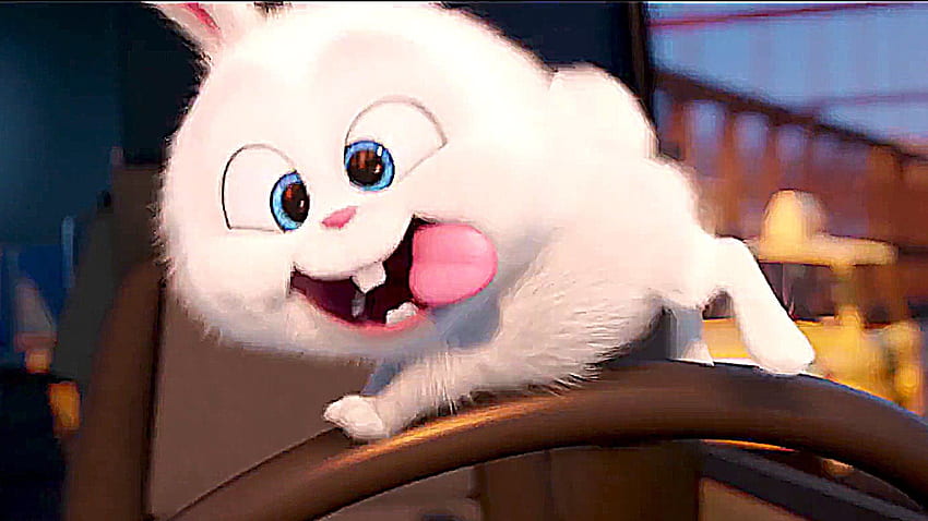 La vie secrète des animaux de compagnie : rencontrez Psycho Bunny !, Boule de neige Fond d'écran HD