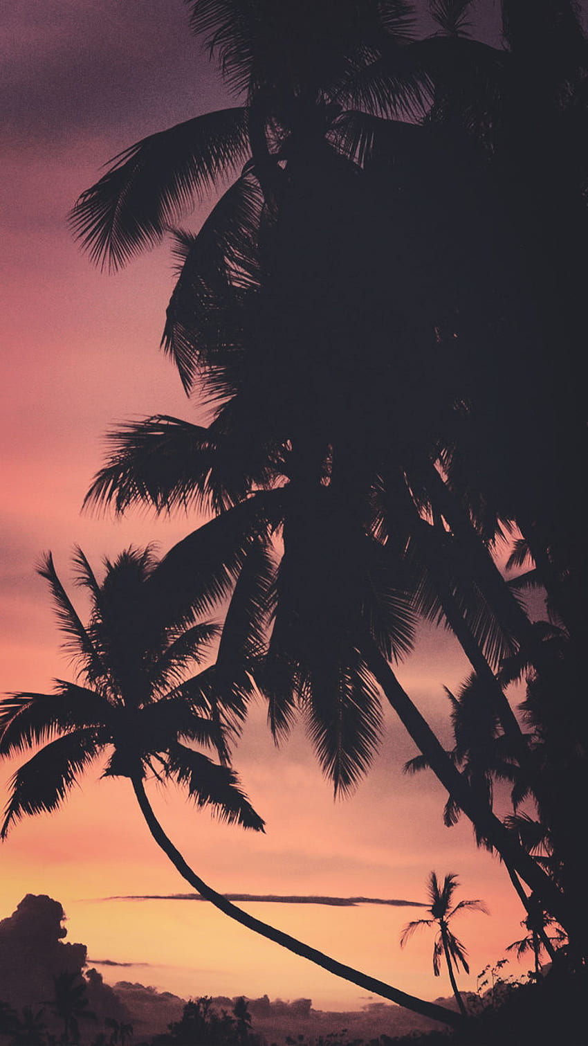 Jungle sunset mengutip 9 matahari terbenam musim panas iphone untuk membunuh depresi musim dingin itu, Rainy Sunset wallpaper ponsel HD