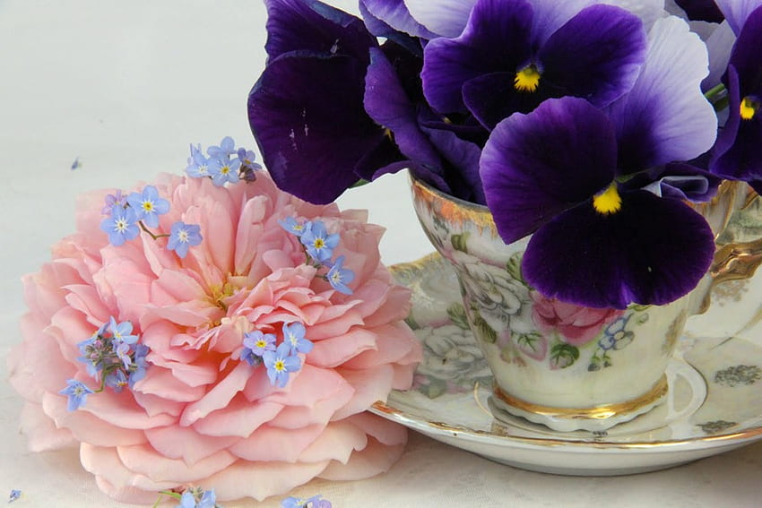Tea for One, blue, cup, pansies, purple, rose, pink, pretty, forget me nots, saucer HD wallpaper