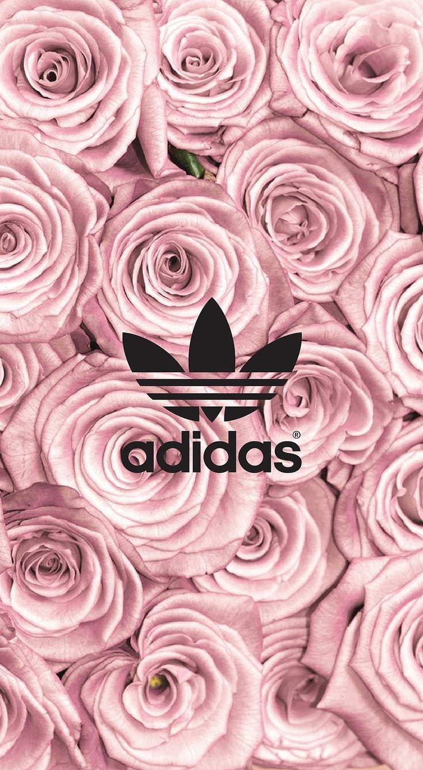 Pink adidas logo HD | Pxfuel