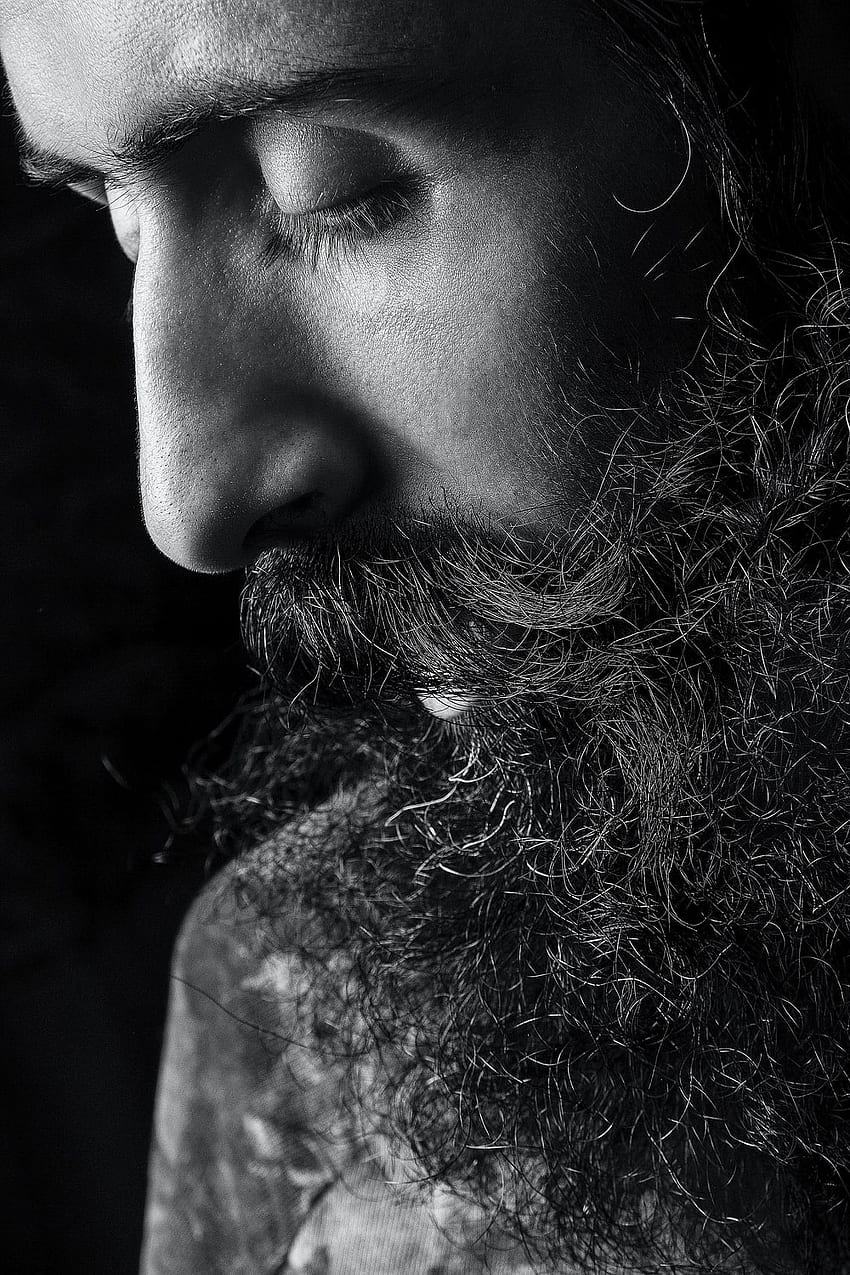 Beard Beard Men Hd Phone Wallpaper Pxfuel