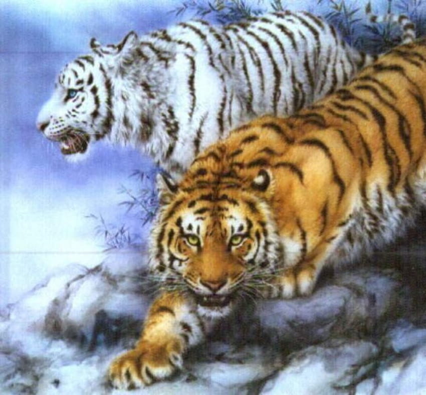 Мощни тигри, бенгалски, тигър, големи, животни, котки, диви HD тапет