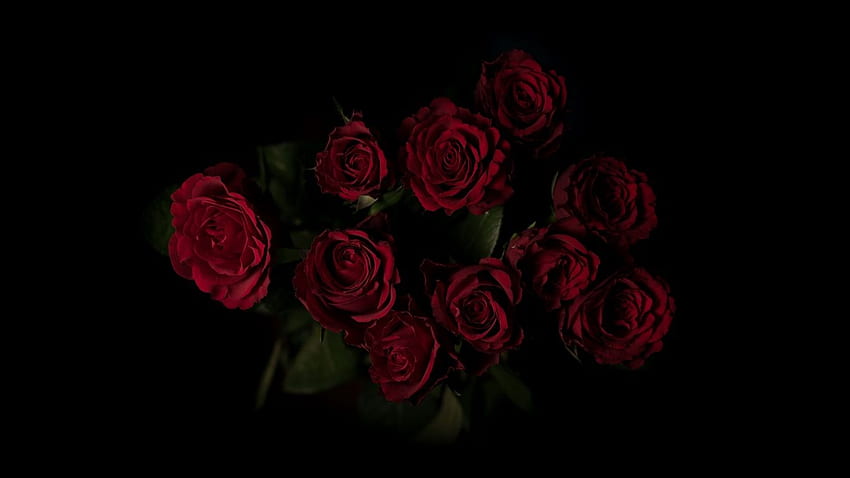 roses, bouquet, red, dark, Red Roses Laptop HD wallpaper