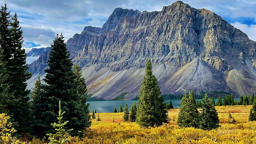バンフ、アルバータ州、カナダ、山、雲、木々、風景、空にあるハゲワシ ピークとボウ湖 高画質の壁紙