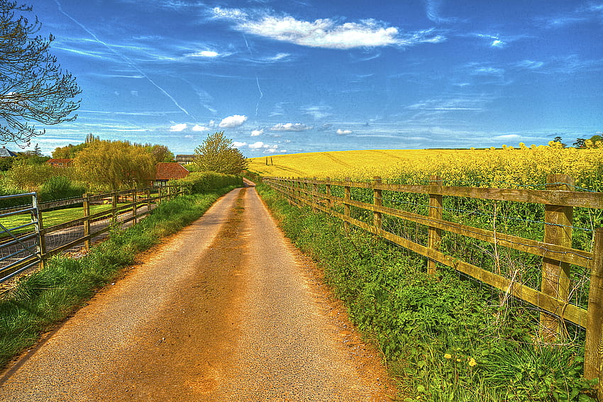 Road, Landscape, Nature, Houses, Field, Fence HD wallpaper