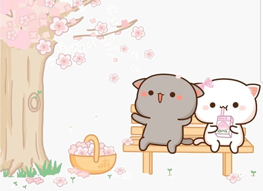 Peach et Goma ❤의 Snow Phlox. 귀여운 고양이 , 귀여운 동물, 귀여운 만화 HD 월페이퍼