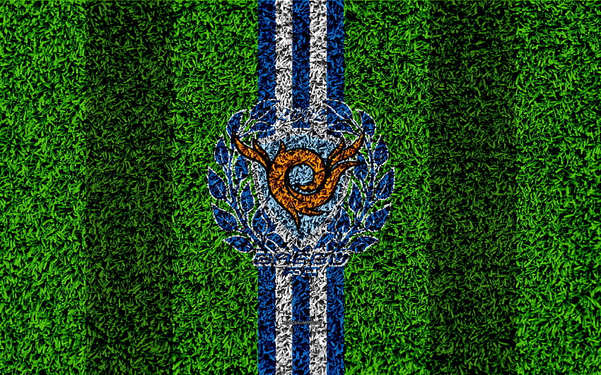 Daegu FC, , logo, grass texture, South HD wallpaper