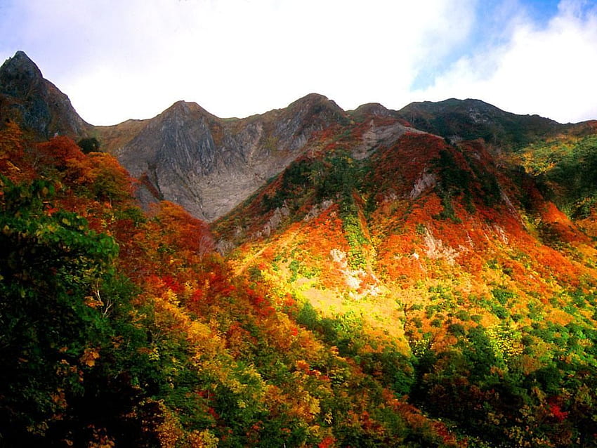 Mountains in Autumn. Korea. Autumn, Autumn scenery HD wallpaper