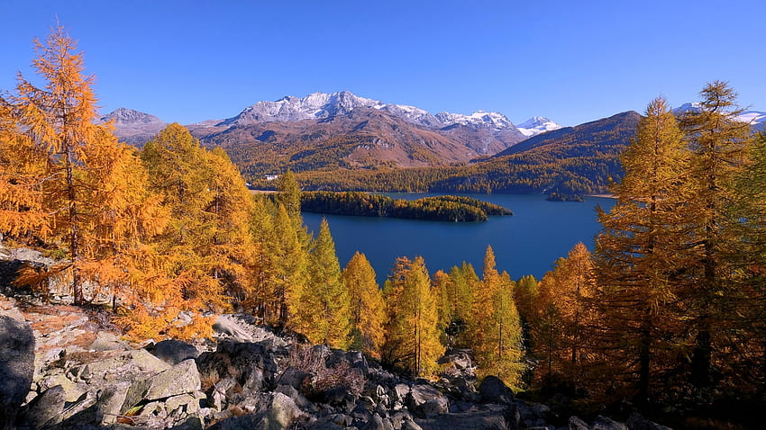 Езерото Силс, Енгадин, Швейцария, есен, цветове, есен, дървета, пейзаж, планини, листа на дърветата HD тапет