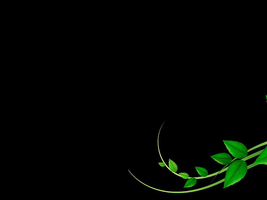 Souris de jeu filaire Razer verte et noire, fond noir, simple • For You For & Mobile, Black and White Razer Fond d'écran HD