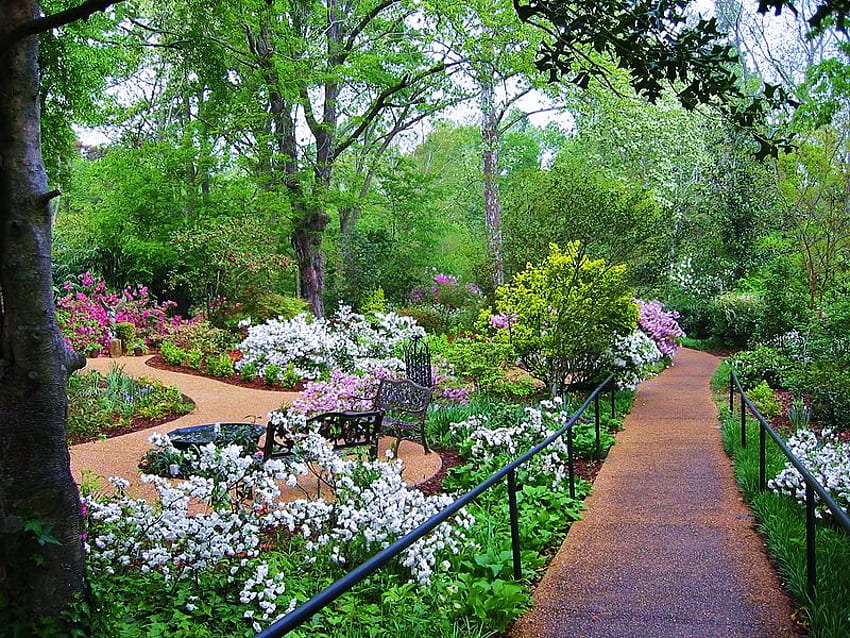 Garden park, relaxing, bench, pathway, garden, shrubs, park, fence, trees, nature, flowers HD wallpaper