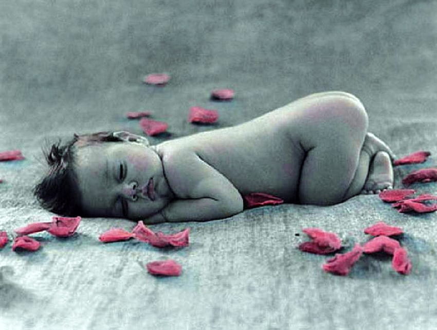 Rose petals and an Angel, baby, rose petals, asleep, black and white HD wallpaper