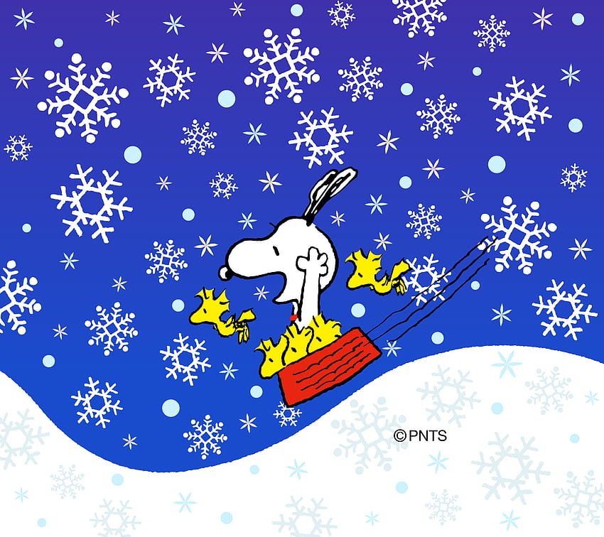 Snoopy Is Sleeping On Roof Top In Snowfall Background Snoopy Christmas HD  wallpaper  Peakpx