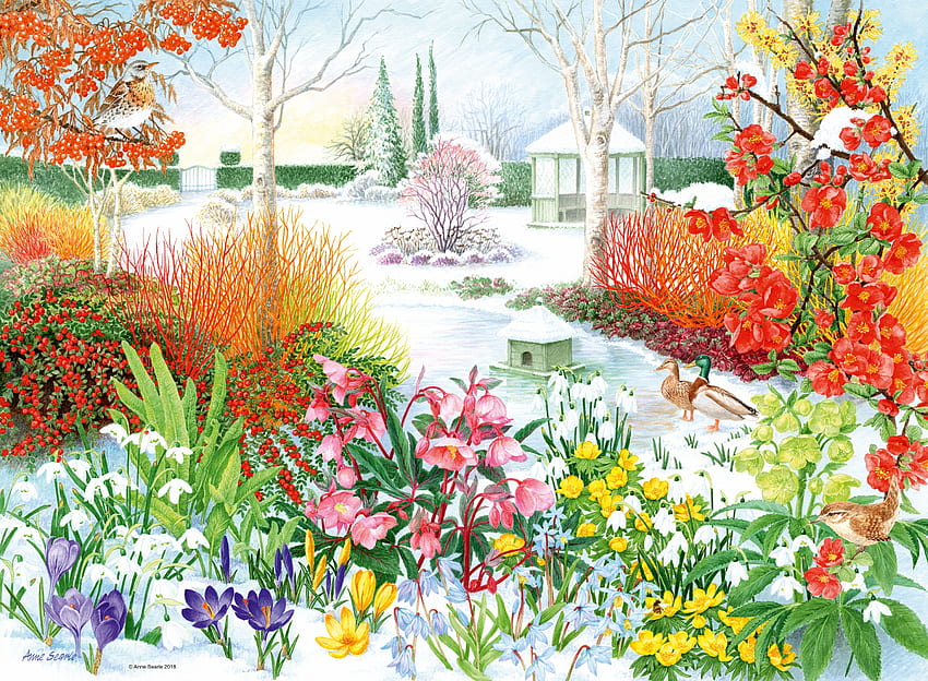 Backyard Flower Garden, ducks, flowers, shrubs, puzle HD wallpaper