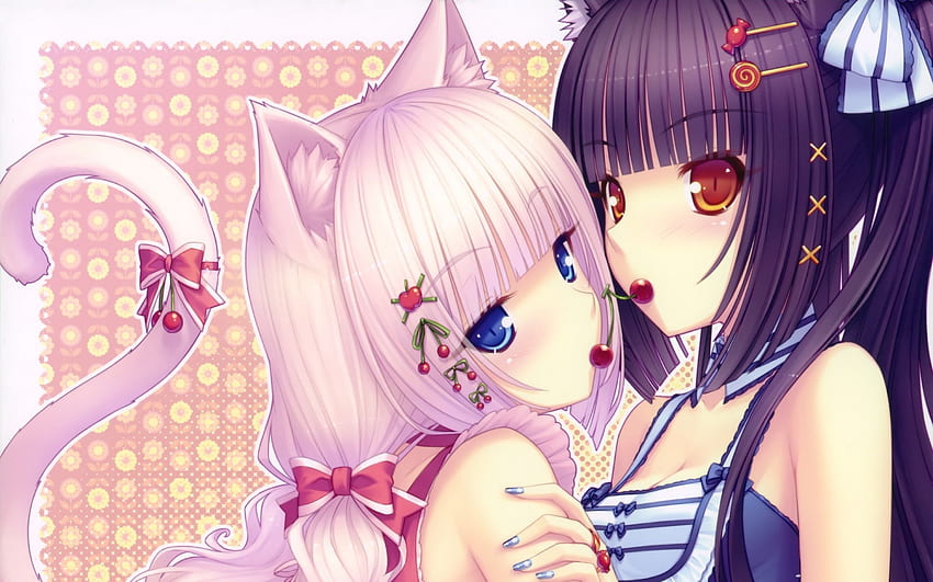 Anime Cat Girl Deux, Rose Anime Cat Girl Fond d'écran HD