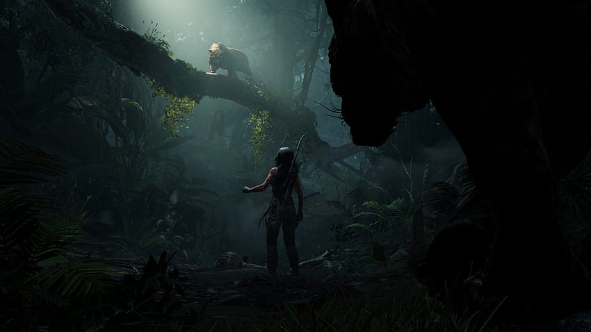 за тема: Shadow of the Tomb Raider , фон HD тапет