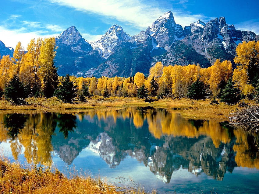 Doğa, Ağaçlar, Sonbahar, Göl, Yansıma, Orman, Ulusal Park, Wyoming HD duvar kağıdı