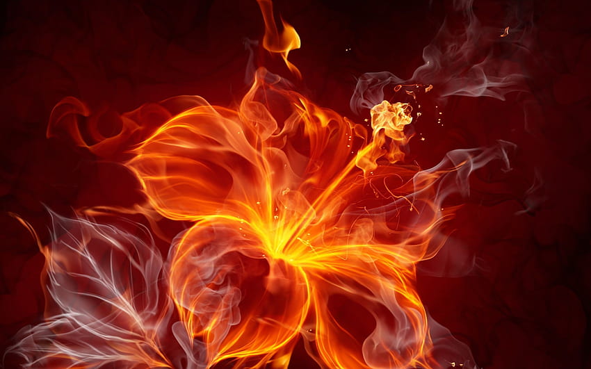 Огнена фонова група, студен червен огън HD тапет