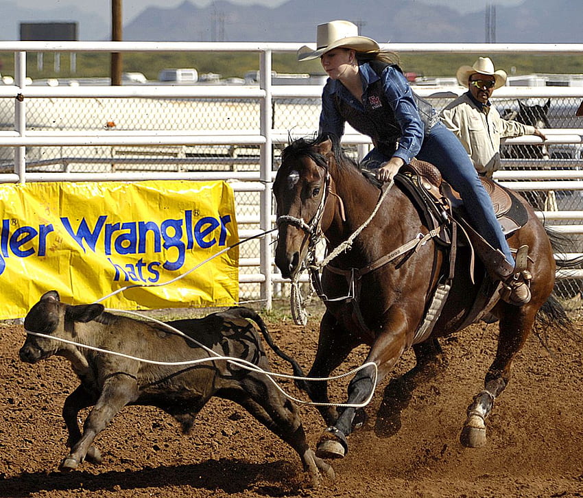 NMSU Rodeo wins Southern New Mexico State Fair competition. Article. NMSU News Center, Team Roping HD wallpaper