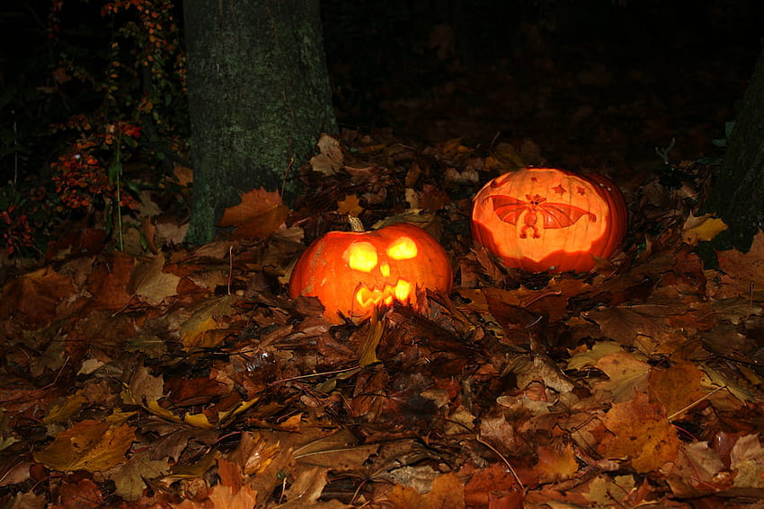 zucche di halloween1, zucche, halloween, foglie, luci, rosso, lanterna Sfondo HD