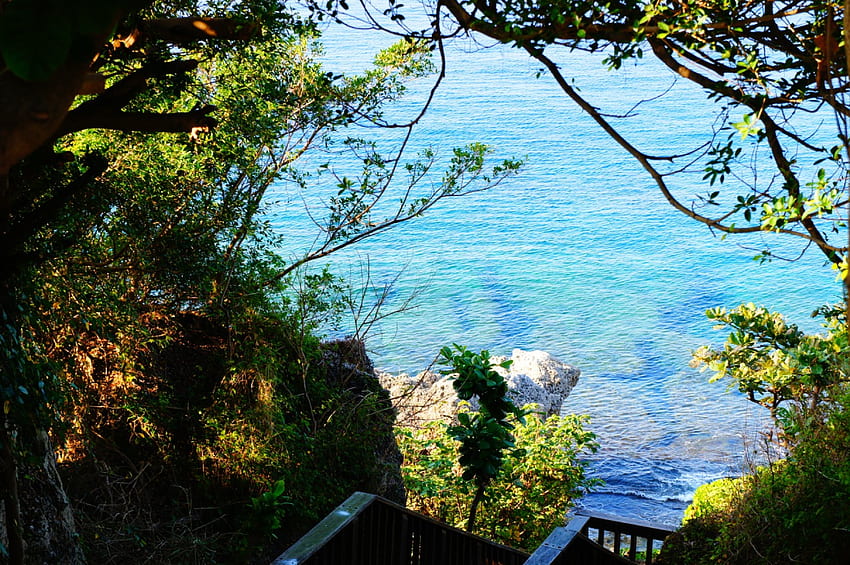 Liuchiu ~ Taiwan, ocean, green, rock, tree HD wallpaper