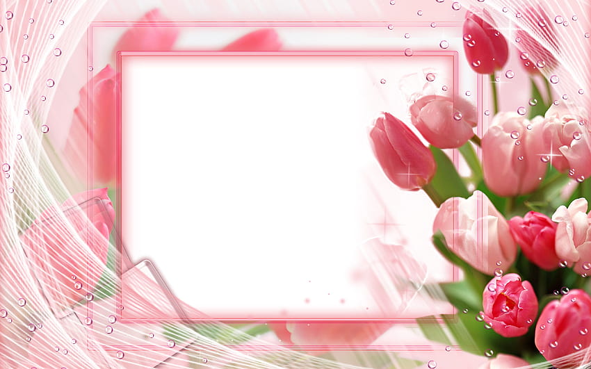 różowe tulipany ramki, koncepcje kwiatowe, kwieciste ramki, białe tło, różowe kwiaty, różowa kwiecista ramka z rozdzielczością. Wysoka jakość Tapeta HD