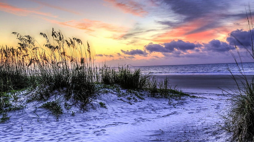Hilton Head Island, South Carolina, USA, beach, grass, sea, sunset HD ...