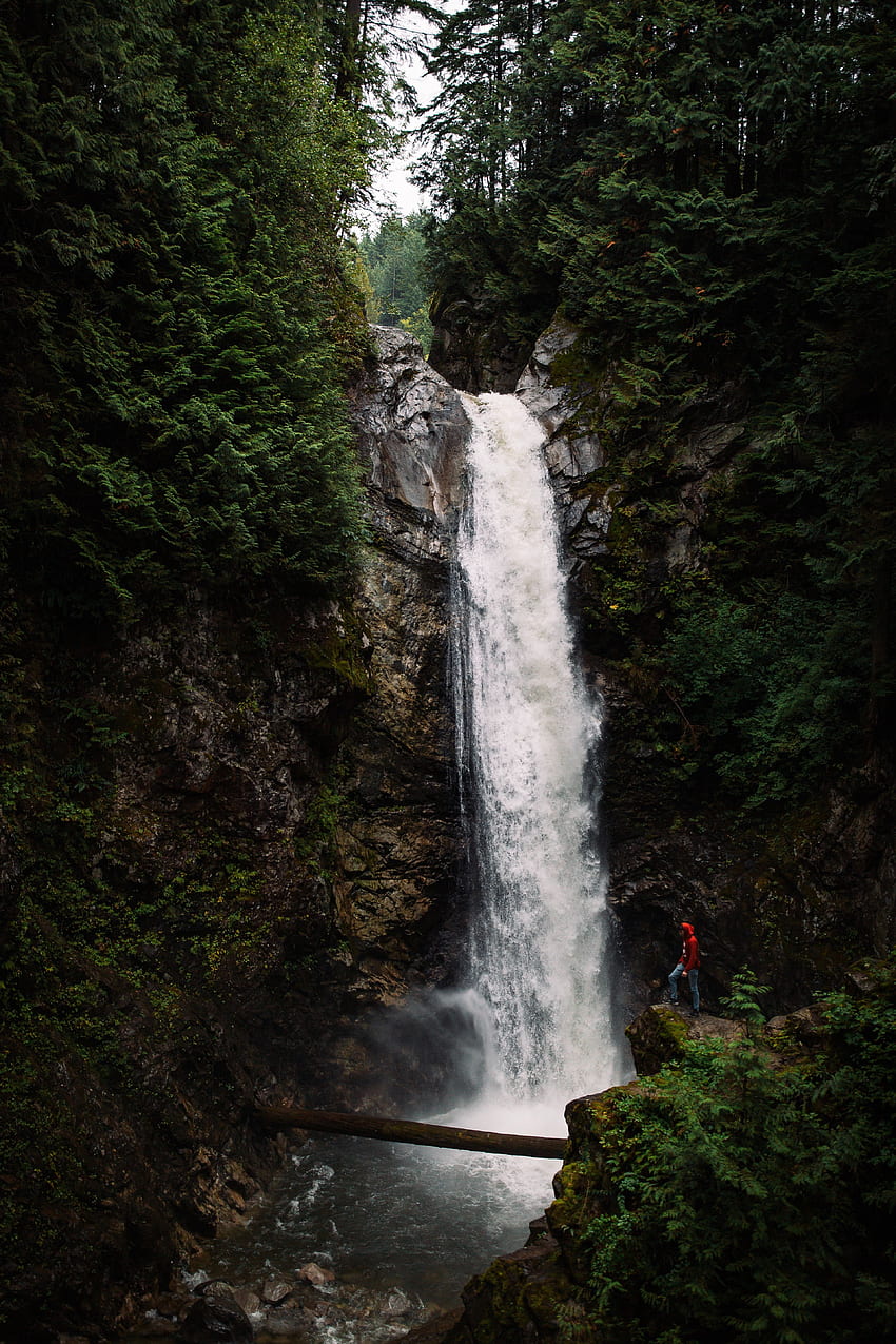 Nature, Water, Waterfall, Break, Precipice, Flow, Stream HD phone wallpaper