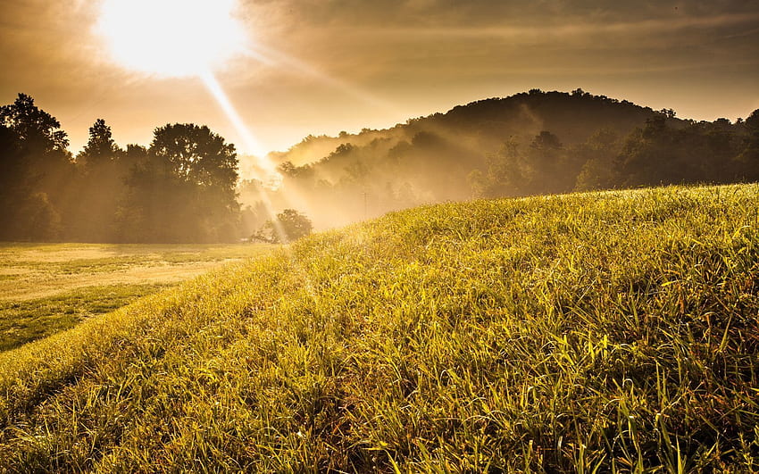 Paysage, Nature, Dim, Shine, Poutres, Rayons, Pente, Meadow Fond d'écran HD