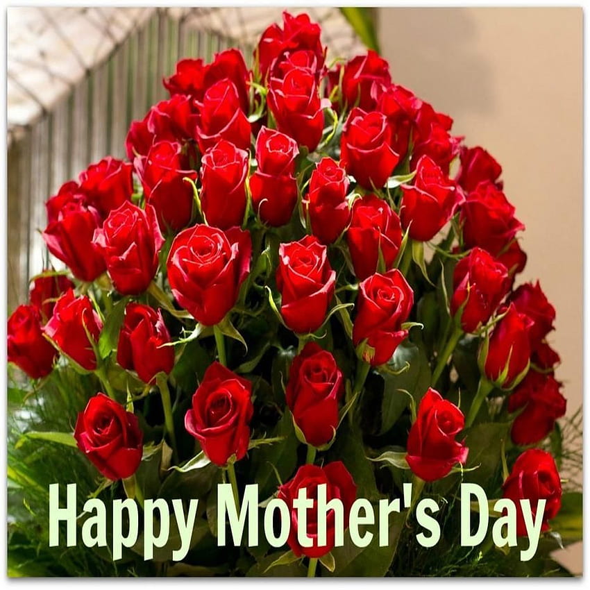For > Happy Mothers Day Roses. Mothers day roses, Mother's Day Flowers HD phone wallpaper