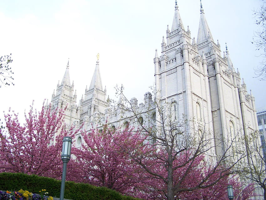 Templo de Salt Lake na primavera, Templo SUD papel de parede HD