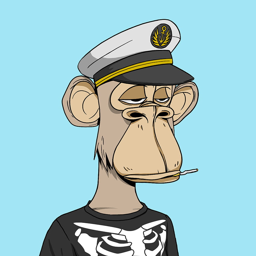 Any Other Phoebe Fans Members Of The Bored Ape Yacht Club? I Snagged One With The Skeleton Shirt. No Idea If The Devs Are Fans Though, Could Be Coincidental! : R Phoebebridgers HD phone wallpaper