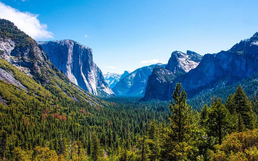 Parque Nacional de Yosemite, divertido, legal, natureza, Yosemite, floresta, montanha papel de parede HD