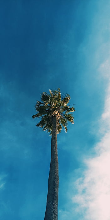 Montaña, naturaleza, cielo, paisaje HD phone wallpaper | Pxfuel