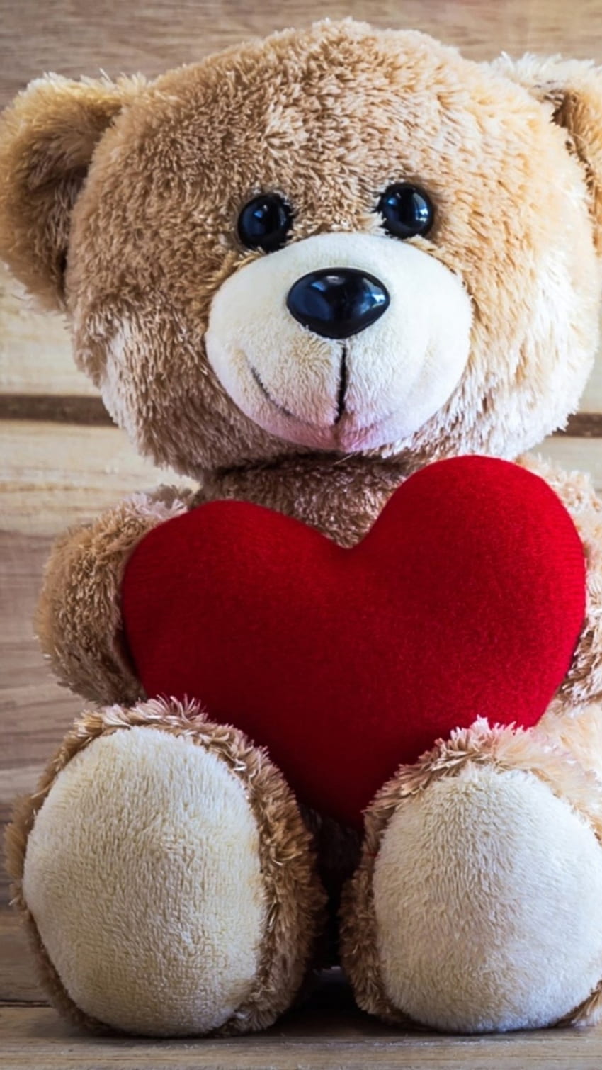 Schöner Teddybär, Spielzeug HD-Handy-Hintergrundbild