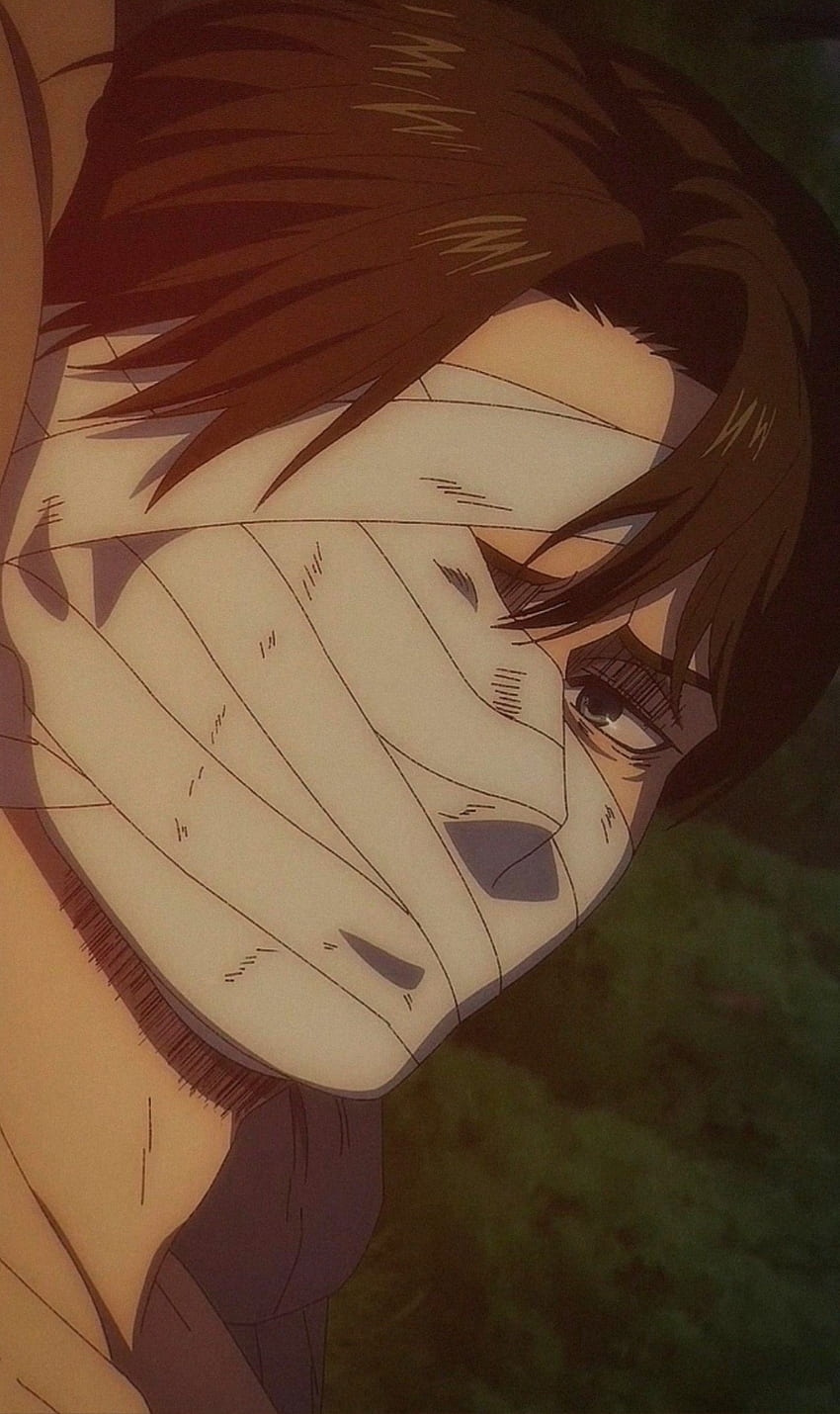 Ataque a los titanes, nariz, mandíbula, snk4, levi fondo de pantalla del teléfono