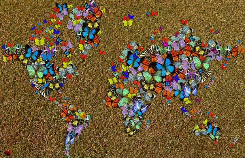Schmetterlingswelt, Schmetterlinge, Welt, Schmetterling, Karte HD-Hintergrundbild