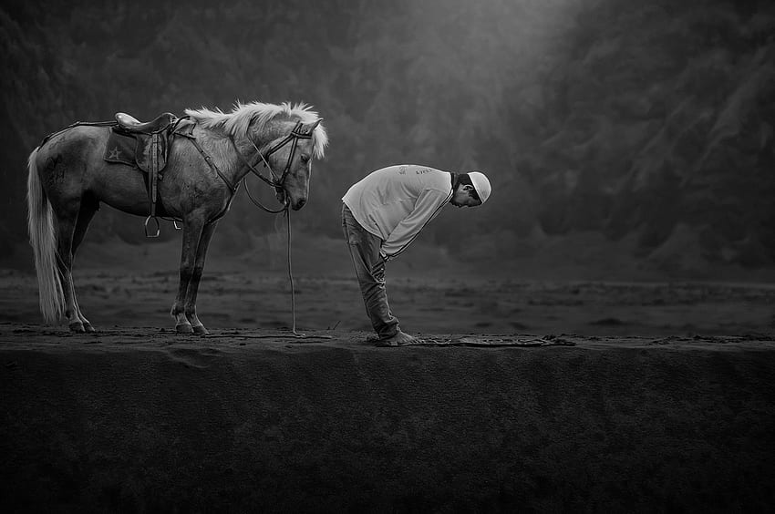 Pferd, Tiere, Männer, Beten, Islam, Indonesien / und mobiler Hintergrund, Betender Mann HD-Hintergrundbild