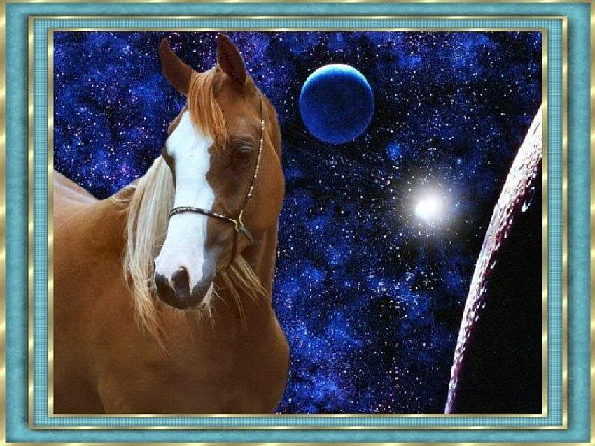 流れ星、馬、惑星、動物、アラビア人、自然、星 高画質の壁紙